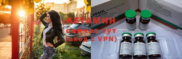 прущие грибы Мегион
