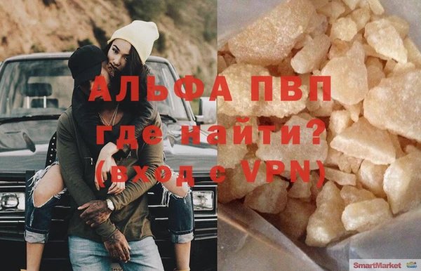 прущие грибы Мегион