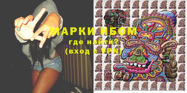 прущие грибы Мегион
