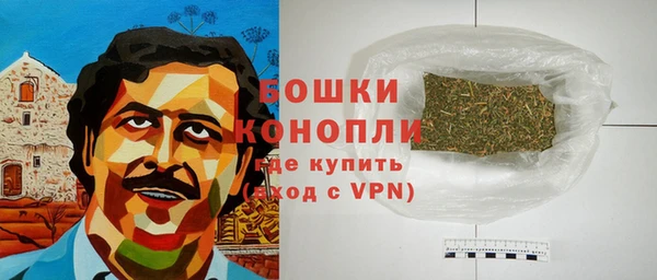 прущие грибы Мегион