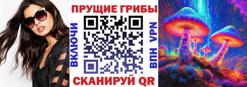 Купить закладки  Зима  Галлюциногенные грибы мухоморы 